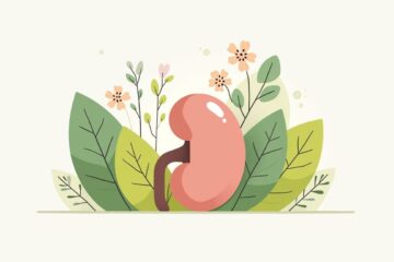 Een minimalistische illustratie van een nier op groene bladeren.